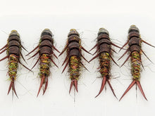 Load image into Gallery viewer, Stonefly Nymph #10 hook
