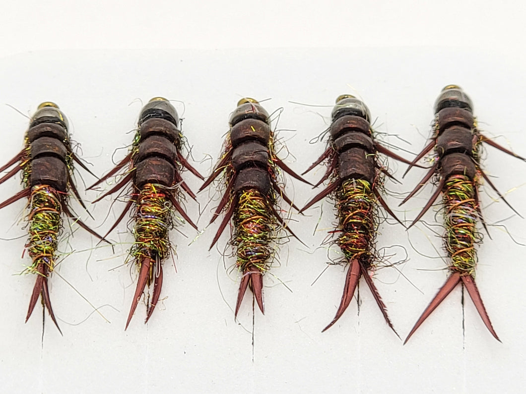 Stonefly Nymph #10 hook