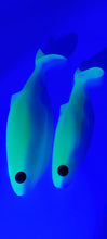 Load image into Gallery viewer, White / Chartreuse - UV
