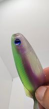 Load image into Gallery viewer, Transparent Green &amp; Purple with clear bottom

